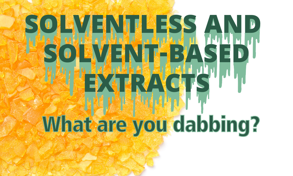 Solventless or Solvent-Based Extracts- What are You Dabbing?
