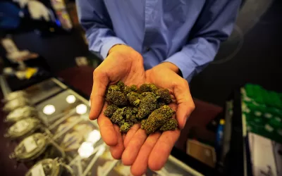Missouri company at center of cannabis recall used hemp instead of marijuana in products